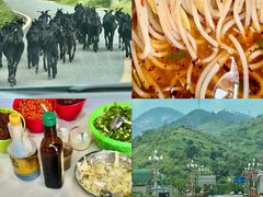 -小倪羊肉米线馆