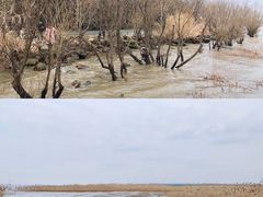-上海吴淞炮台湾国家湿地公园