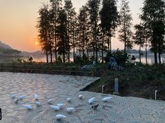 -顺峰山公园