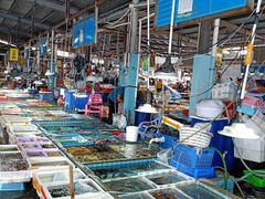 大堂-霞涌市场海鲜摆卖区
