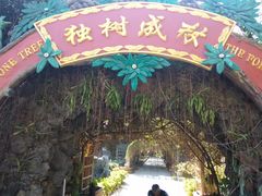 -瑞丽独树成林风景区