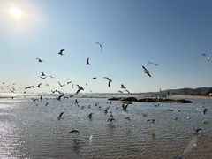 -老虎石海上公园