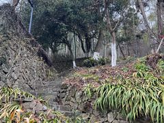 -莫干山风景区