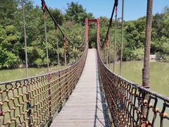 -上海吴淞炮台湾国家湿地公园