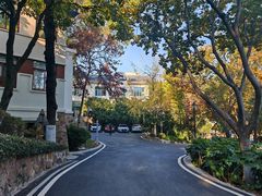 -上海市保健医疗中心