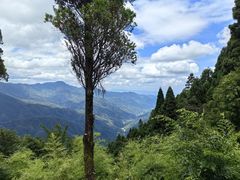 -井冈山风景名胜区