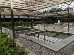 -三江森林温泉度假区