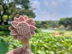 -广州莲花山旅游区