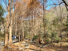 -国家植物园南园