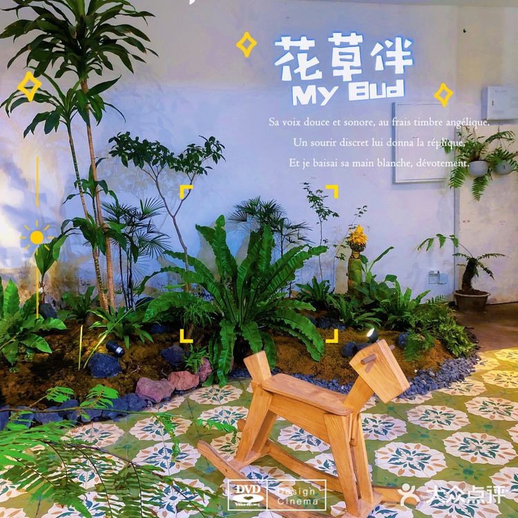 成都｜茂密植被拍照📷不累