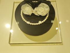 -BLACKSWAN黑天鹅(环球店)