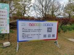 -秀丽东方