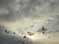 -那香海钻石沙滩浴场