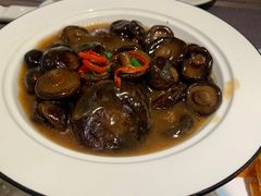 鲍鱼汁扣花菇仔-巡味顺德菜(龙华壹方城店)