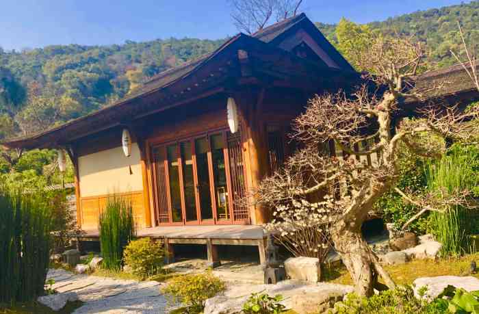 doctype html> html lang="zh-cn"> head> meta