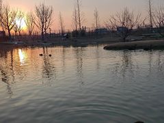 -祥源·阜阳生态乐园