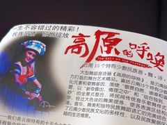 -云南民族村