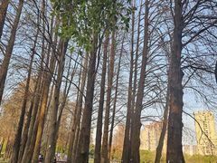 -四海公园(南山区)