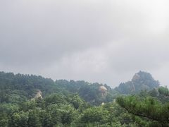 -六里坪国家森林公园