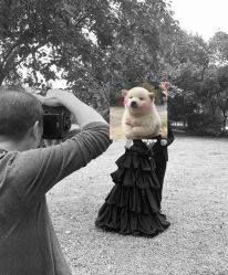 -帆拉斐婚纱摄影(春熙店)