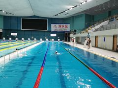 -重庆市奥林匹克体育中心-游泳跳水馆