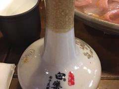 -白乐天毛肚火锅馆(南滨路店)