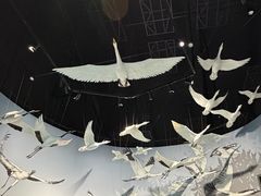 -中国湿地博物馆