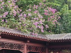 -厦门园林博览苑