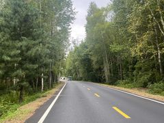 -五营红松林海景区