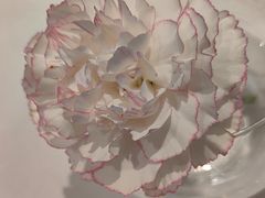 -眉州东坡(清河万象汇店)