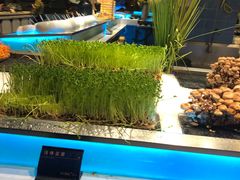 -V-ONE西雅图海鲜自助餐厅(仓山万达广场店)