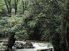 -西岭雪山大飞水景区