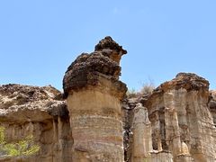 -元谋土林景区(物茂土林)