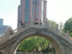 -团结湖公园