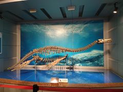 -自贡恐龙博物馆