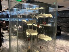 -红辣椒·川菜·火锅(张杨路店)