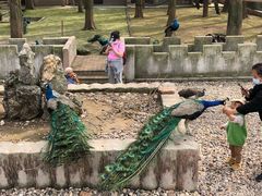 -南京金牛湖风景区