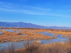 -野鸭湖国家湿地公园
