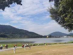 -风云岭森林公园