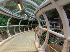 -香港大学