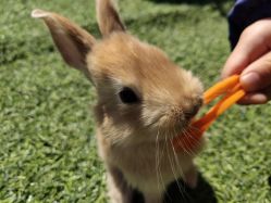 -萌宠亲子动物乐园(槐房万达店)