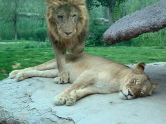 -北京野生动物园