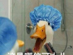 -梓砂锅(崇文路店)