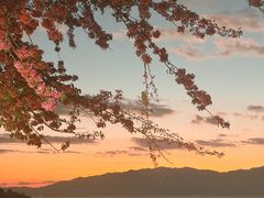 -湖景渔湾
