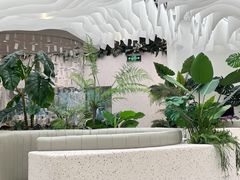 -大树餐厅(大悦城店)