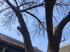 -张学良旧居陈列馆