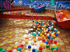 -南宫五洲植物乐园