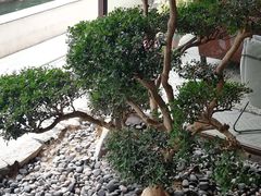 -金谷里艺术馆