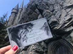 -哈利波特魔法世界