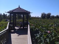 -羊亭河湿地公园